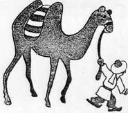 Ведёт верблюда