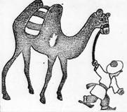 Найди отличия в картинке