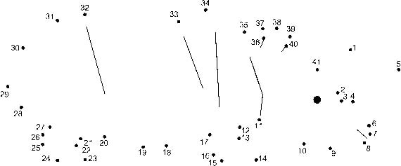 Соедини по точкам рисунок